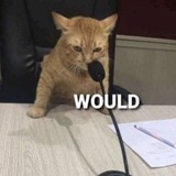 wouldcalls | Unsorted