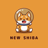 newshibacoin | Cryptocurrency