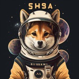 shibaspaceofficial | Unsorted