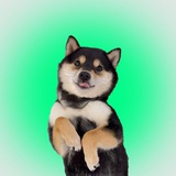 littlemanyu | Unsorted