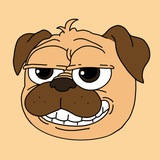 pugecoins | Unsorted