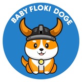 babyflokidogecoin | Cryptocurrency