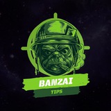 botbanzai | Unsorted