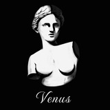 venusdao | Adults only