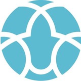 theirancircle | Unsorted