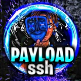 payload_ssh | Unsorted