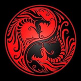 dragonpromotion | Unsorted