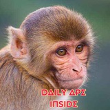 dailyapeinside | Unsorted