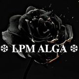 lpmalgax | Unsorted