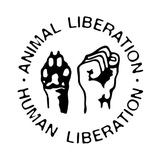 animalliberationnow | Unsorted