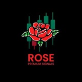 rosesignalshot | Cryptocurrency