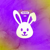yunabrasil | Unsorted