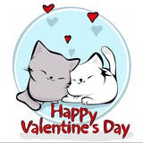 valentinecats | Unsorted