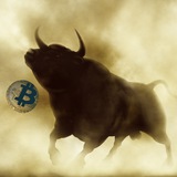 perma_bull | Cryptocurrency