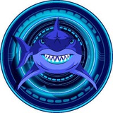 sharkbnb | Unsorted