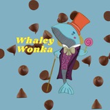 whaleywonkaproject | Unsorted