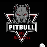 pitbullob | Cryptocurrency