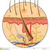 librosdedermatologia | Unsorted