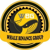 whale_binance_pay | Unsorted