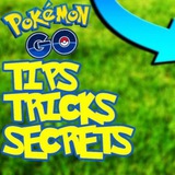 pokego_noticias_tips | Unsorted