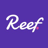 reefannouncements | Unsorted