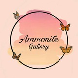 ammonite_gallery | Unsorted