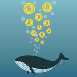 Cryptos Whales