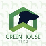 greenhousetipsfree | Unsorted