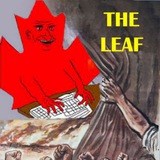 leafwaffen88 | Unsorted