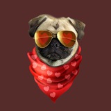 hipsterpugvalentines | Unsorted