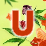 uberryshop | Unsorted