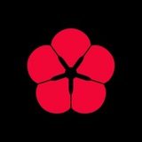 kodehouse | Неотсортированное