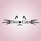Neco Cats