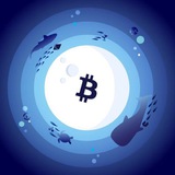 Crypto Aquarium 🐳