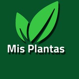 mis_plantas | Unsorted