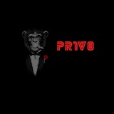 .: PR1V8 :.