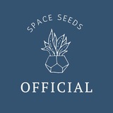 spaceseeds1 | Unsorted