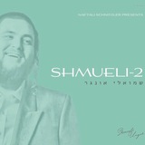 shmueli_ungar | Unsorted