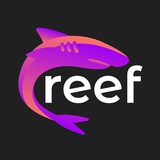 reefchain | Unsorted