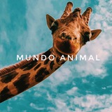 nuestromundoanimal | Unsorted