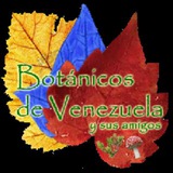 botanicosdevenezuela | Unsorted