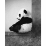 with_a_living | Неотсортированное