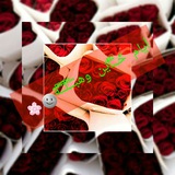 mmmm_mz | Unsorted