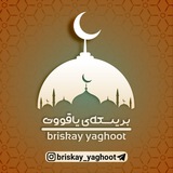 briskay_yaghoot | Unsorted