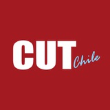 cutchile | Unsorted