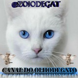 grupo_olhodegato | Unsorted