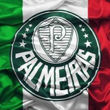 Palmeiras News 💚