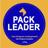 dogshealth | Unsorted