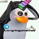 gringomemes | Unsorted