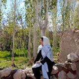 atefeh_tayyeh | Unsorted